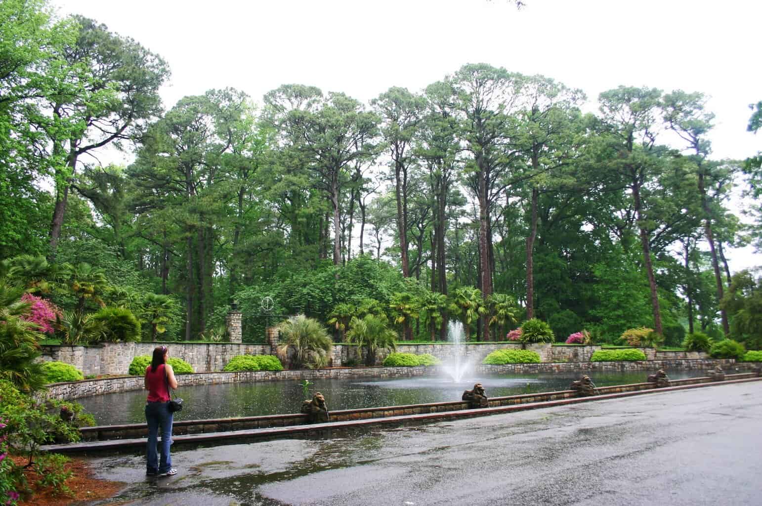 Norfolk Botanical Gardens Everything You Need To Know