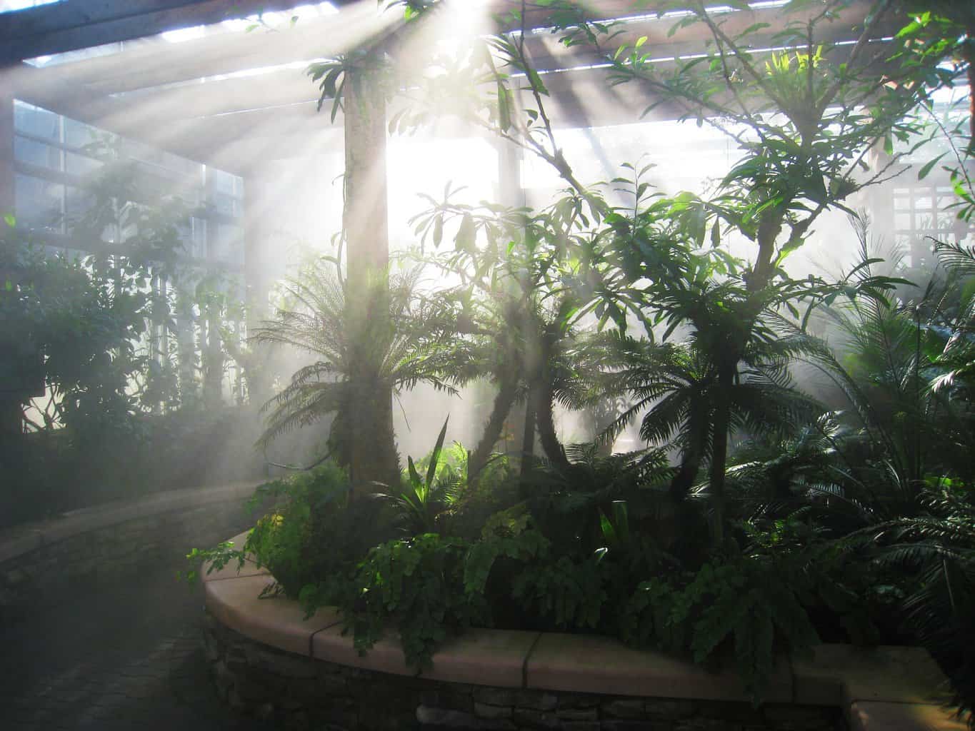 Atlanta Botanical Gardens Everything You Need To Know Plantly