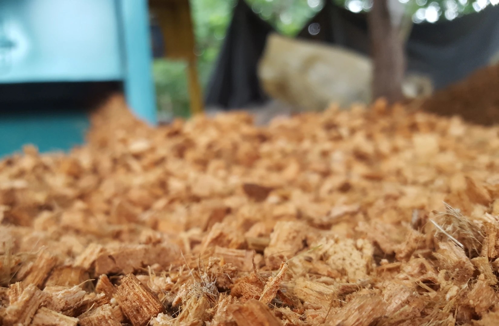 What is Coco Coir Fiber and How to Use it in Gardening