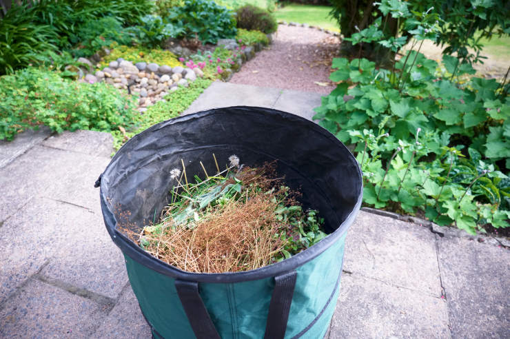 best gift ideas for gardeners, bag