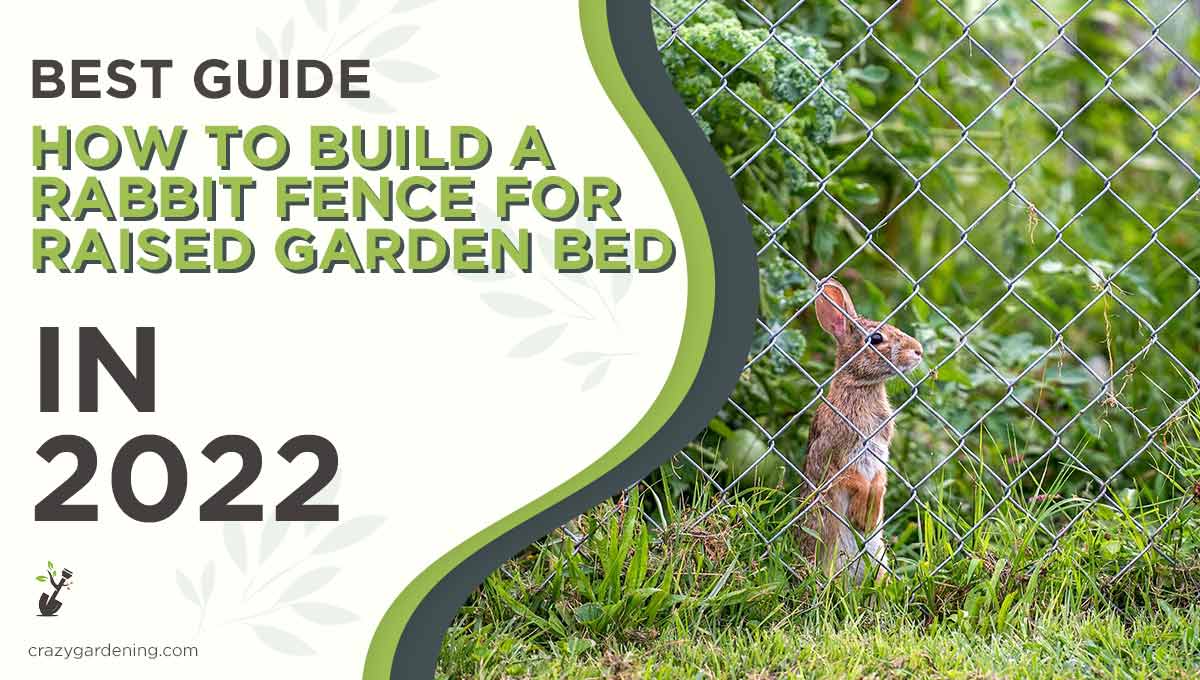 How to Build a Rabbit Fence for Raised Garden Bed[Tips 2024