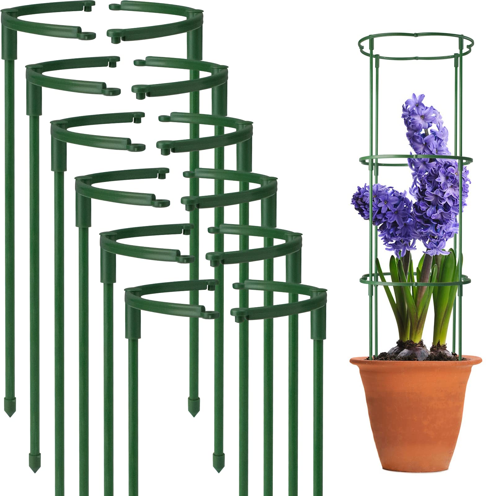 Best Plant Supports for Tall Native Plants A Comprehensive Guide