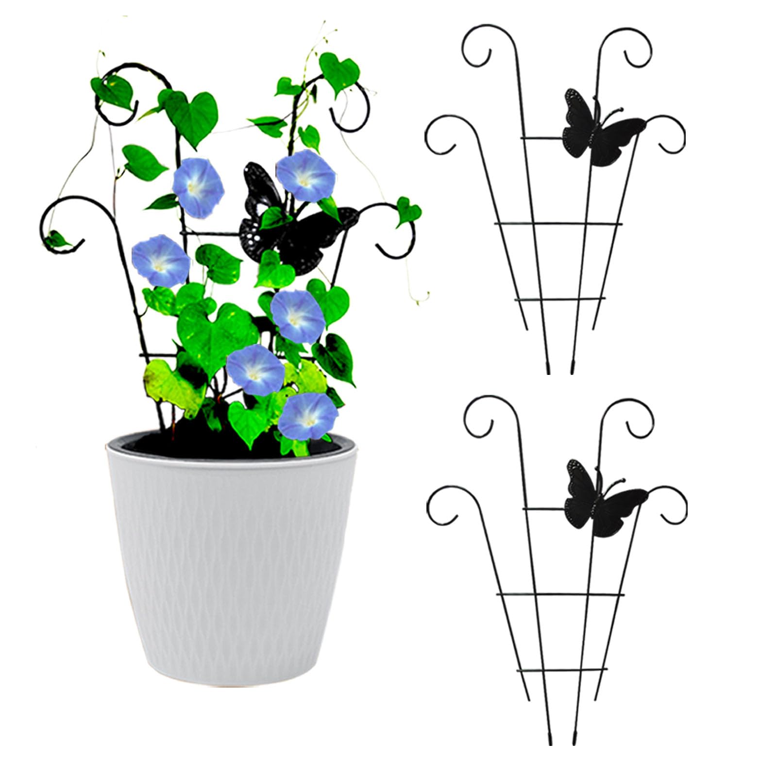 Best Trellises for Climbing Plants Top Picks for 2024