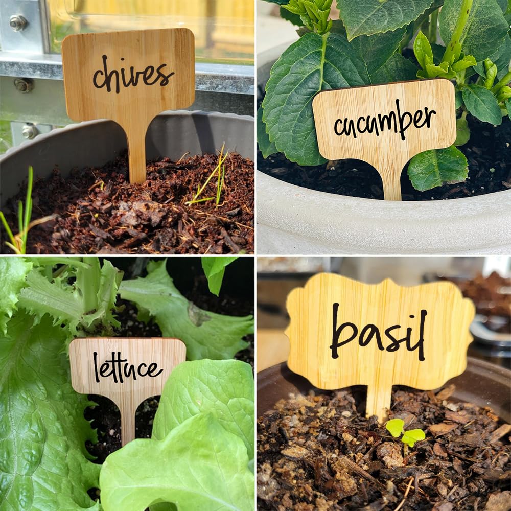 Best Plant Markers for Organization Keep Your Garden Tidy and Labeled