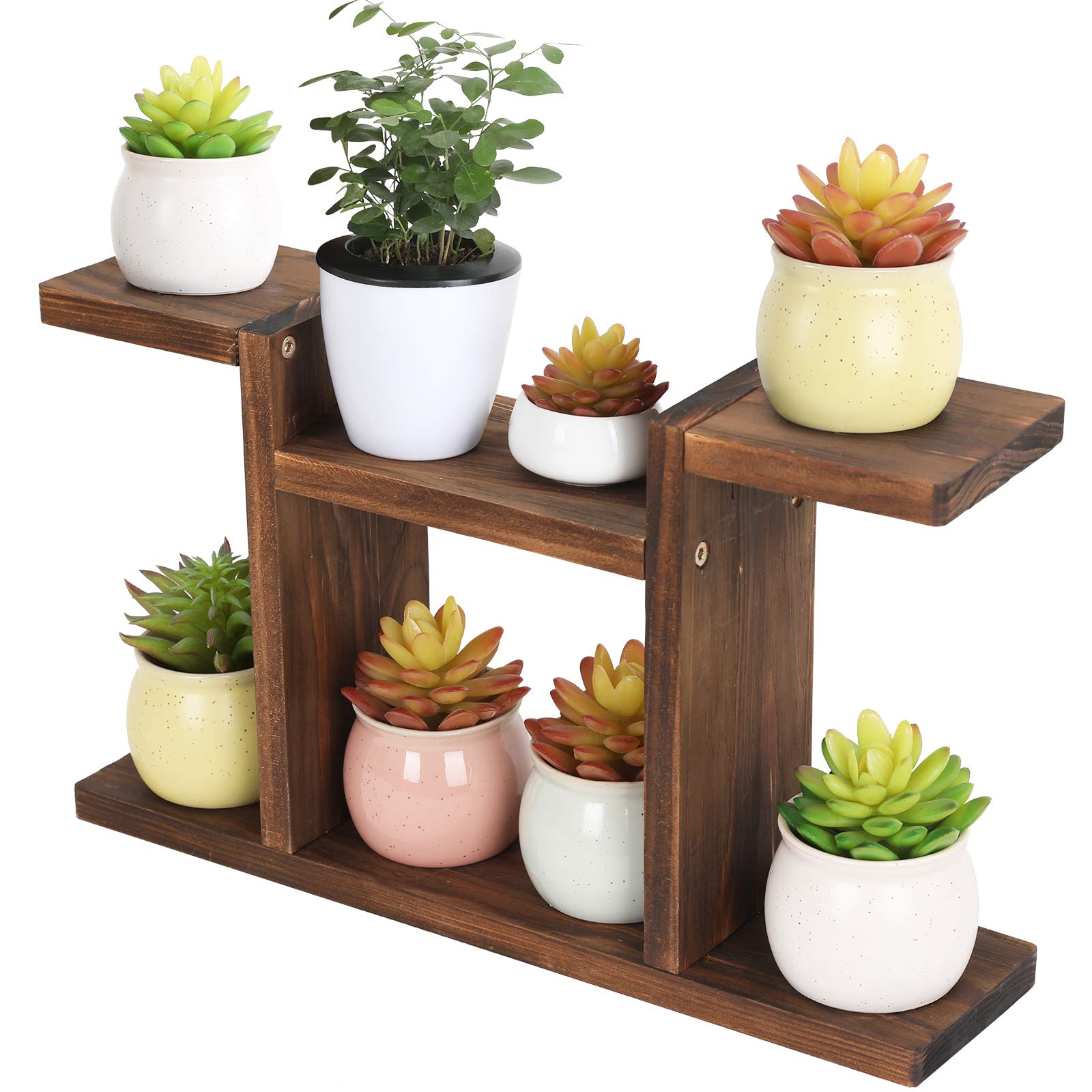 Best Plant Stands for Small Spaces Top Picks for 2024