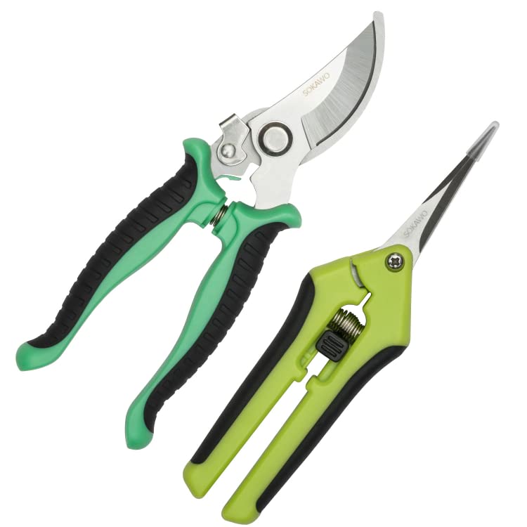 Best Pruning Shears for Precise Cuts in 2024