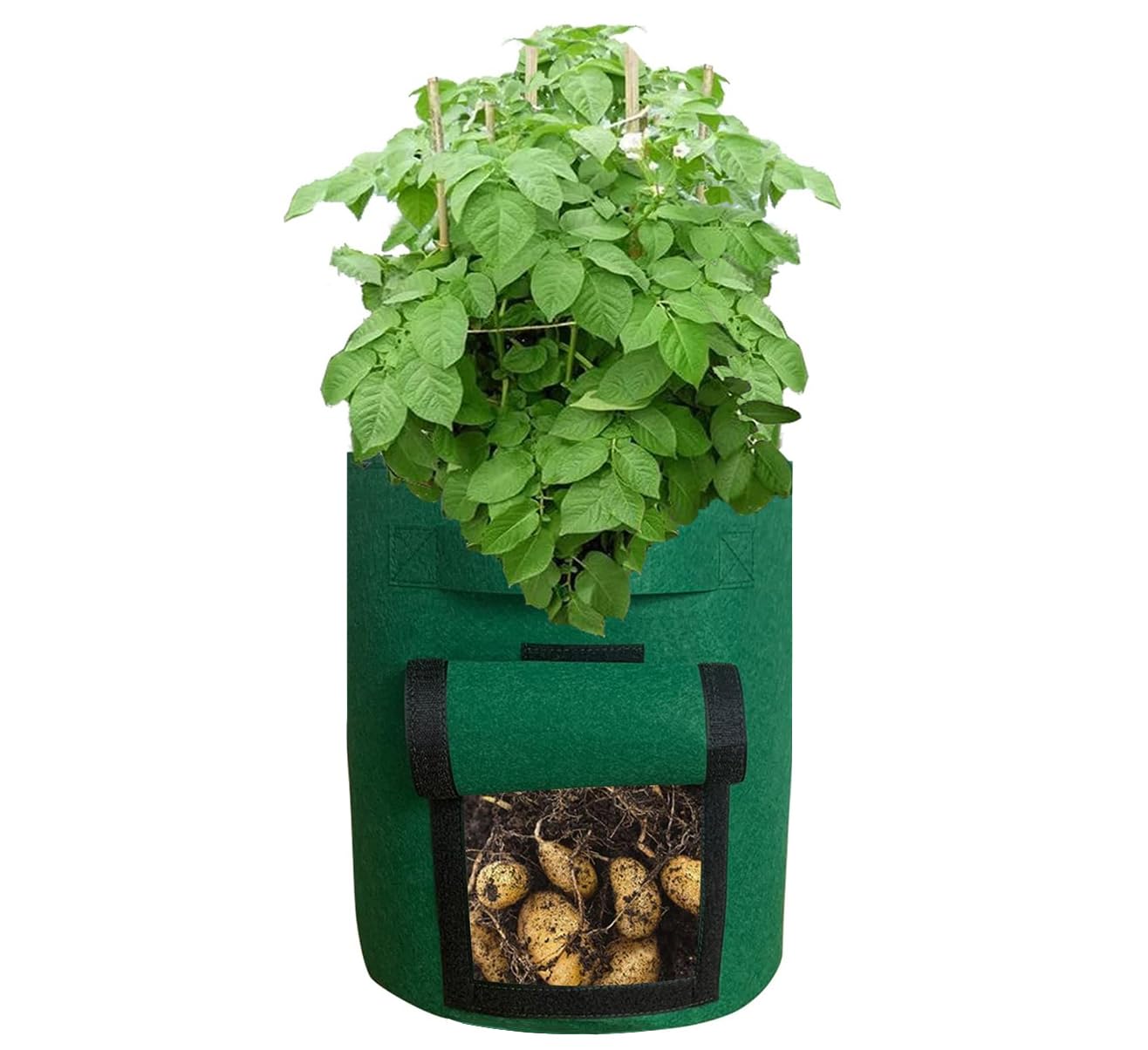 Best Grow Bags for Native Plants Top Picks for Optimal Growth