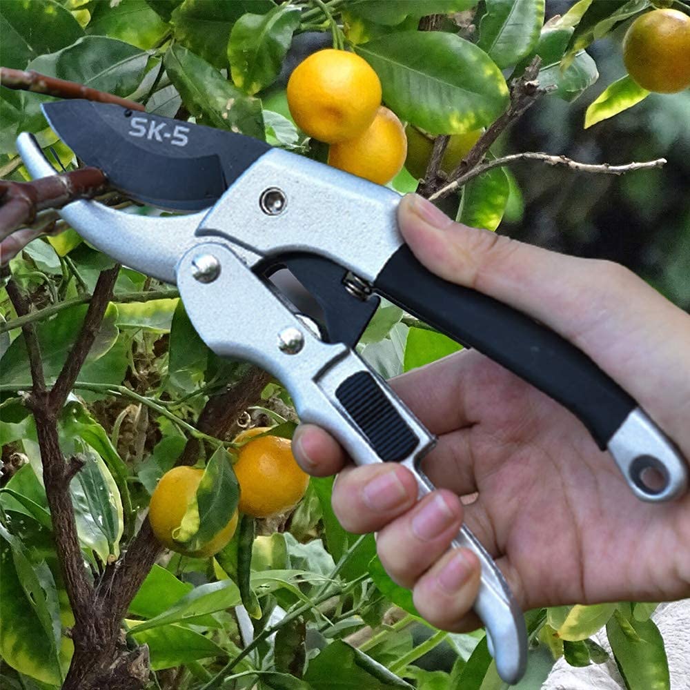 Best Garden Pruners for Small Hands Top Picks for Easy and Precise