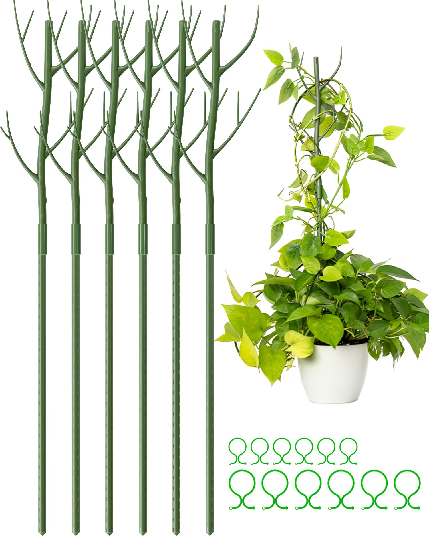 Best Garden Stakes for Strong and Healthy Plants