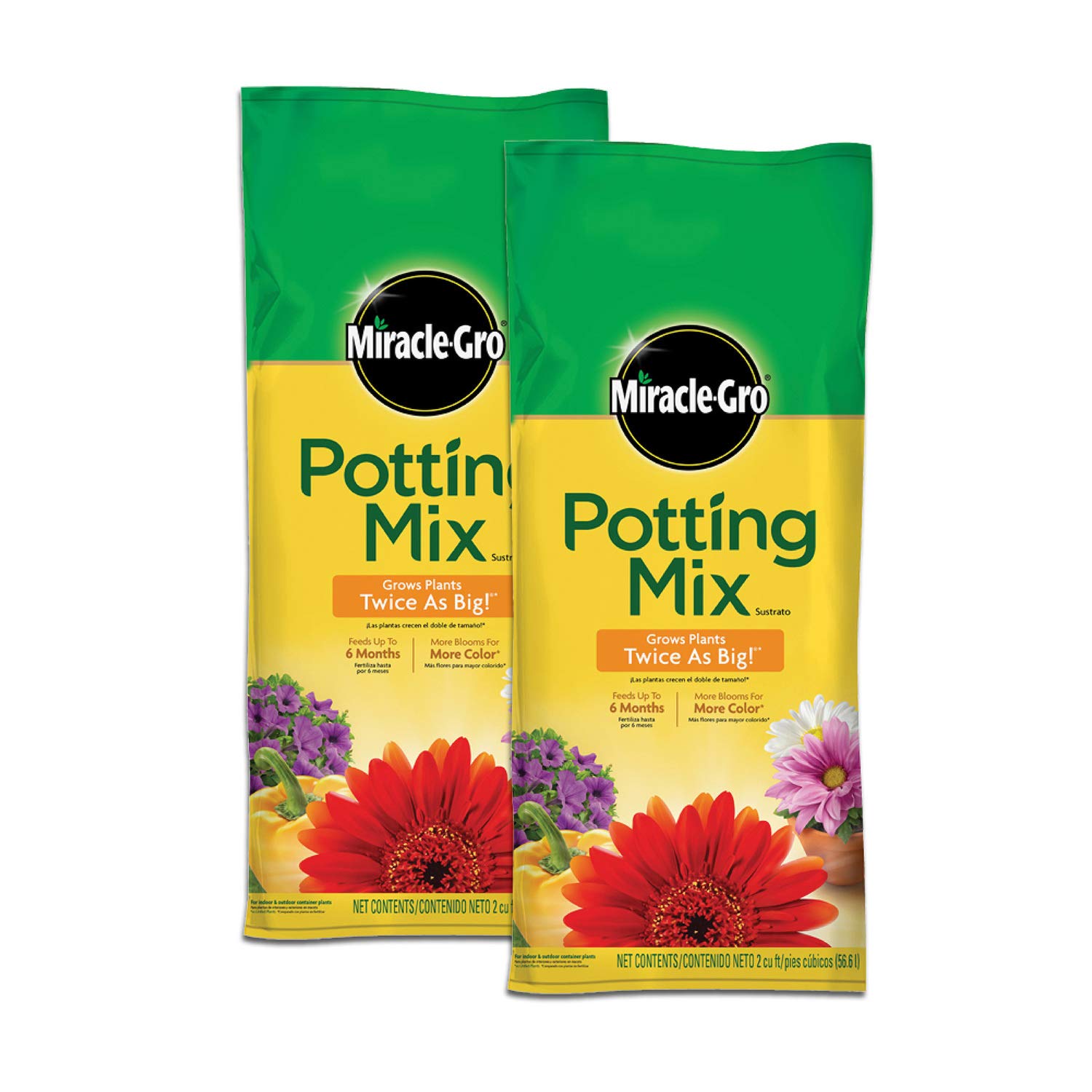 Best Potting Soils for Thriving Container Gardens
