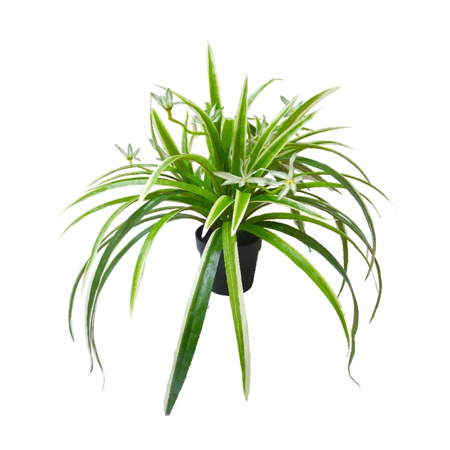 Lifelike Artificial Plants for Effortless Greenery Plant and Pot Co.