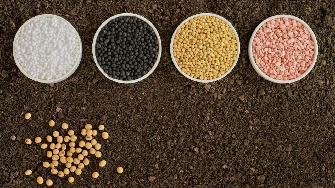 How Long Does Fertilizer Last In Soil? Revealed!