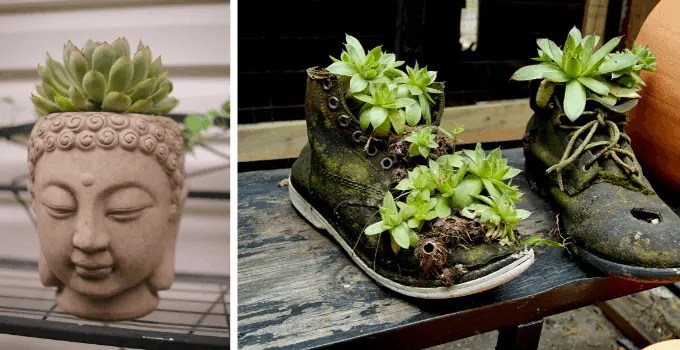 The Very Best Places to Buy Planters & Plant Pots Online