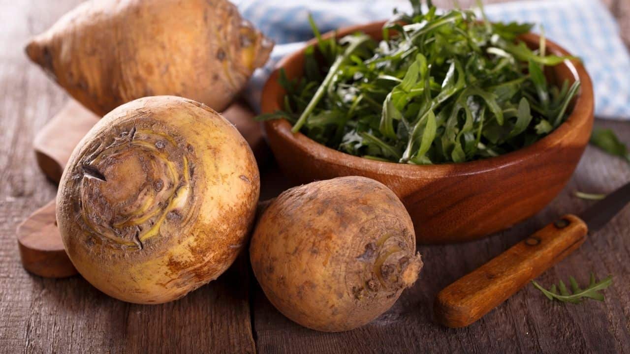 11 Vegetables Grown Underground Plantophiles