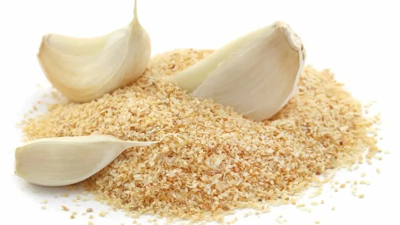 How to Keep Cats out of Flower Beds — 12 Best Methods