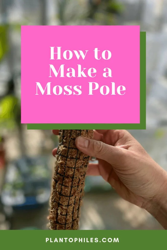 How to Make a Moss Pole Best DIY Guide in 2023