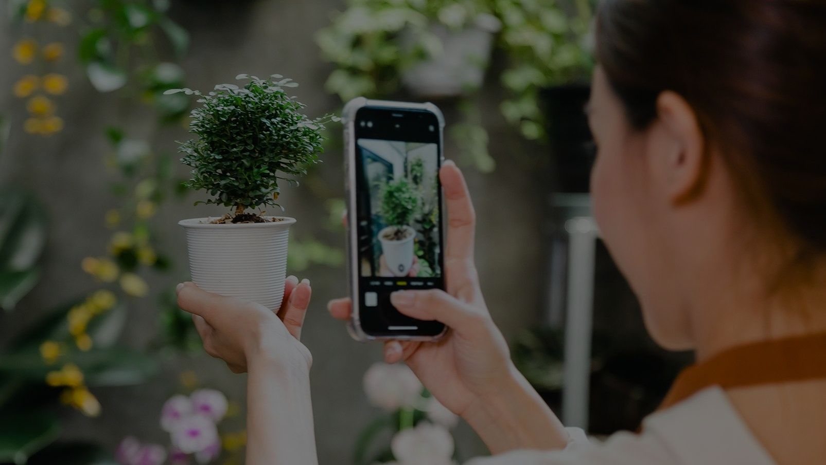 9 MustHave Best Plant Identification Apps for 2024