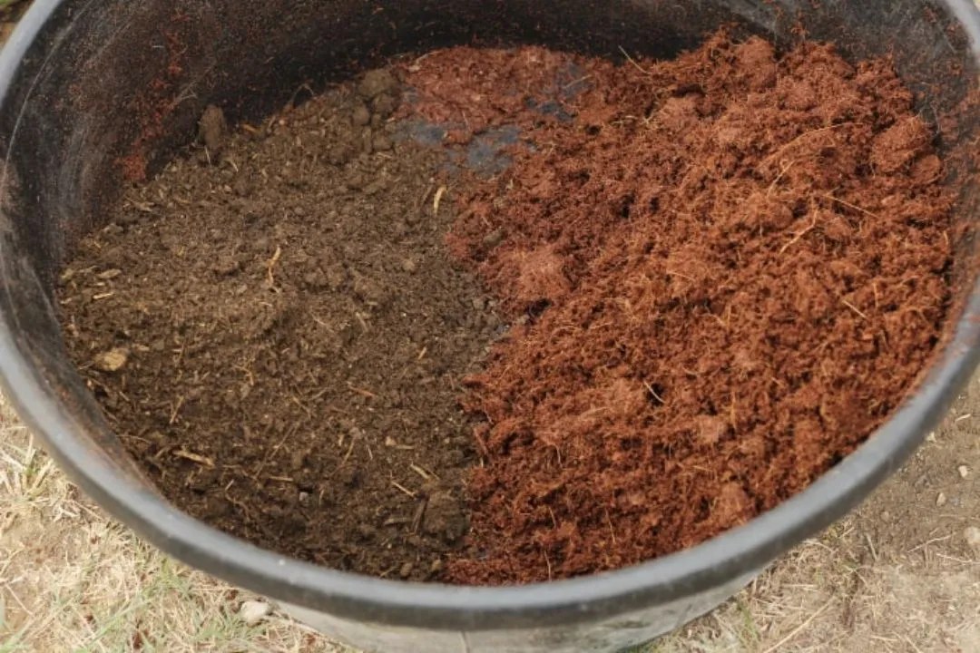Creating the Perfect Soil Mix