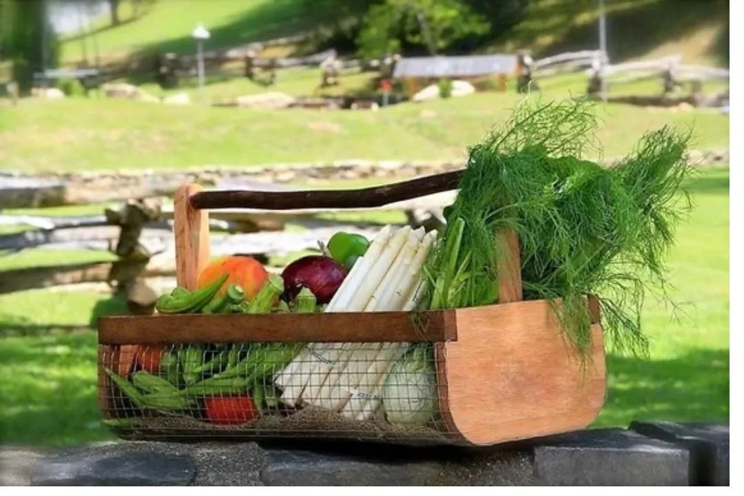 Harvesting and Storage