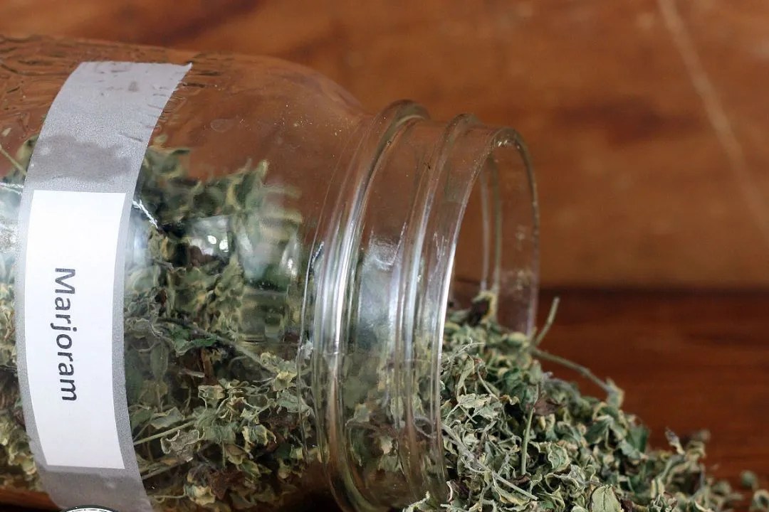 Marjoram for Air Drying and Hanging