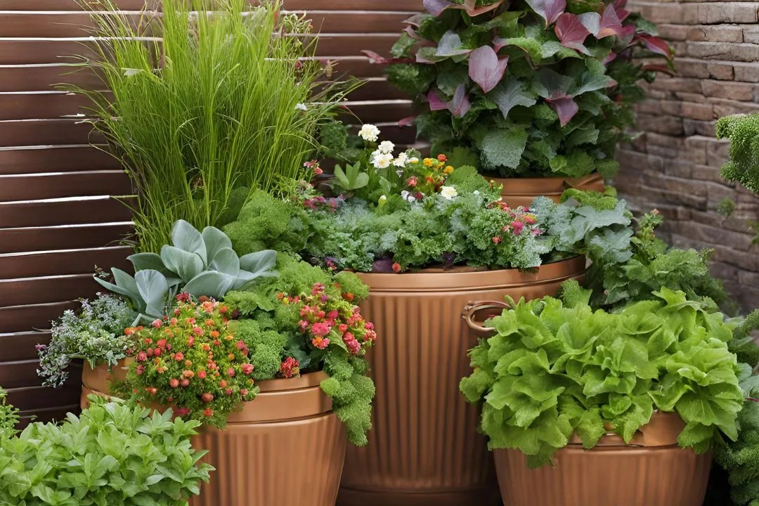 Design a Container Garden