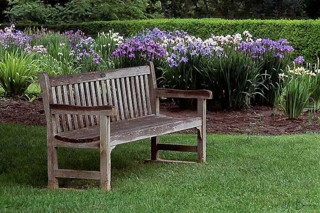 Include Benches for Relaxation