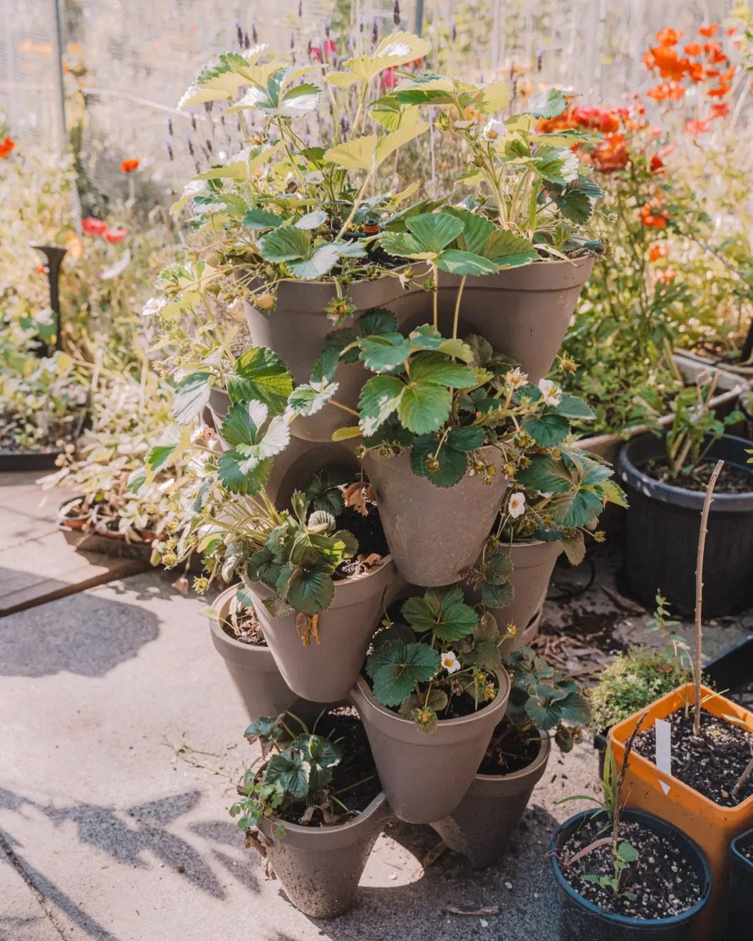 Strawberry Pyramid Planters