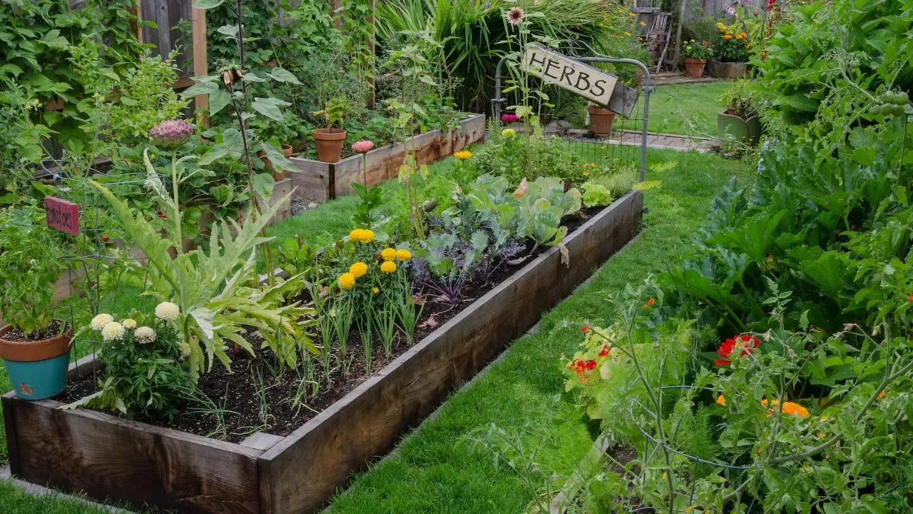 Flower Bed Ideas