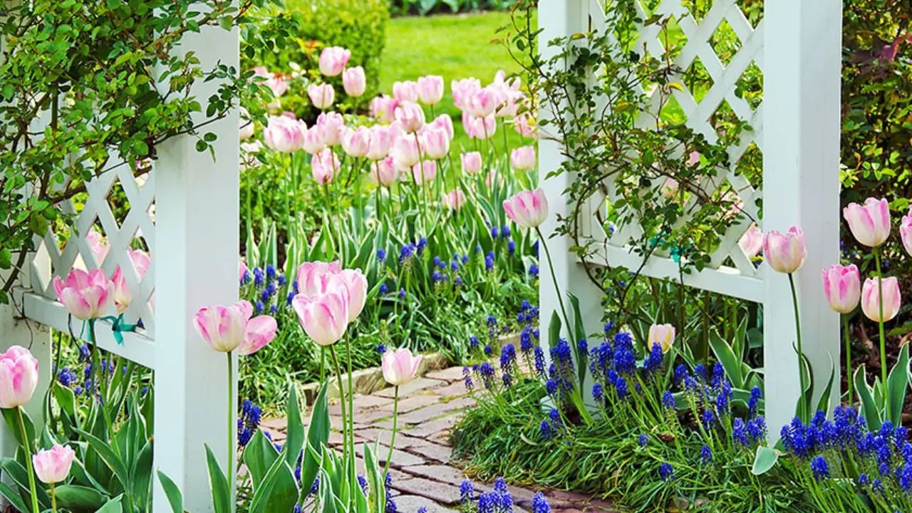 Flower Bed Ideas