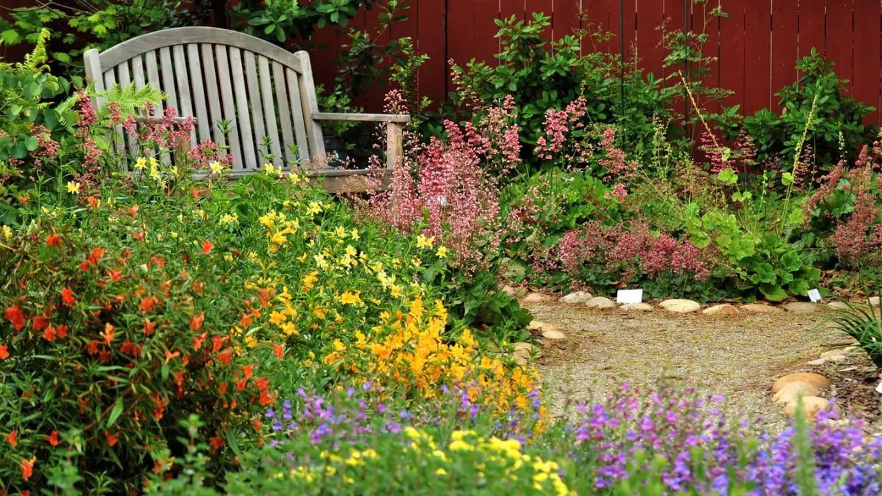 Flower Bed Ideas