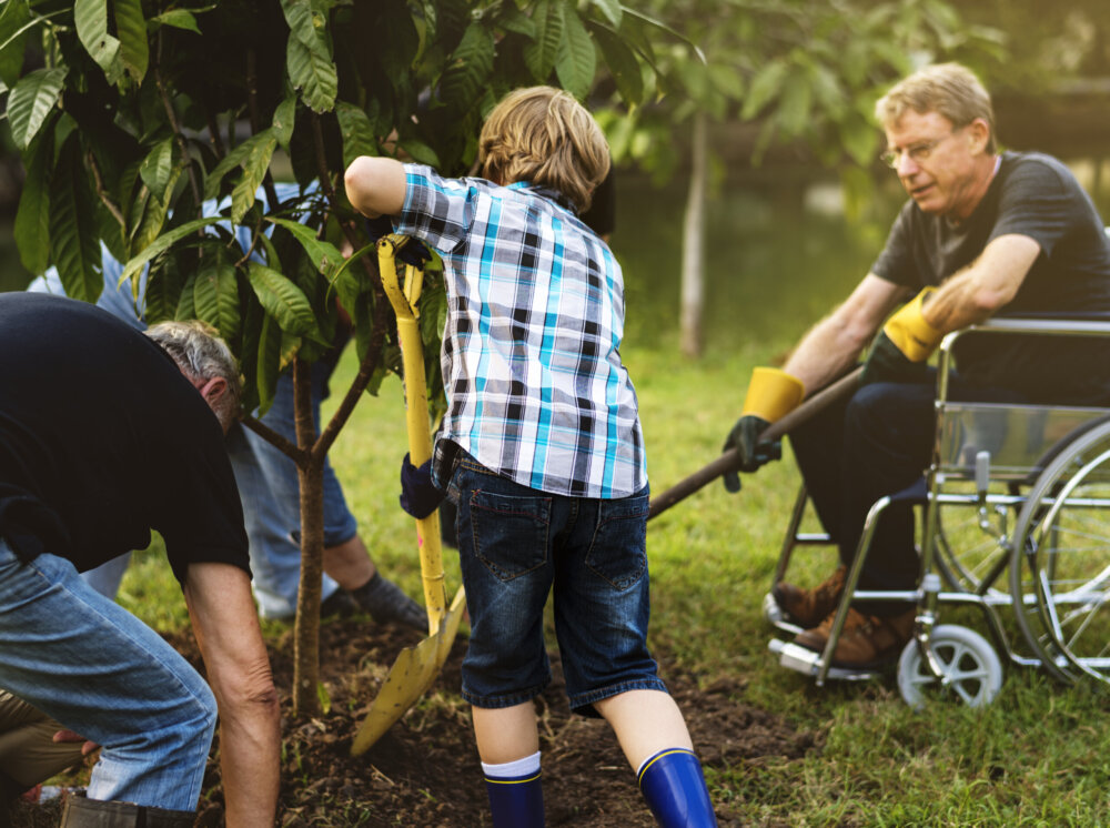 Fall Tree & Shrub Planting Guide 7 Steps for Success