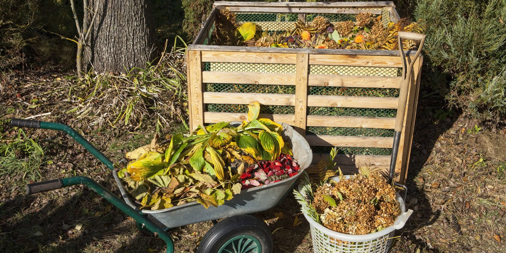 How to Start Composting at Home Plant Perfect