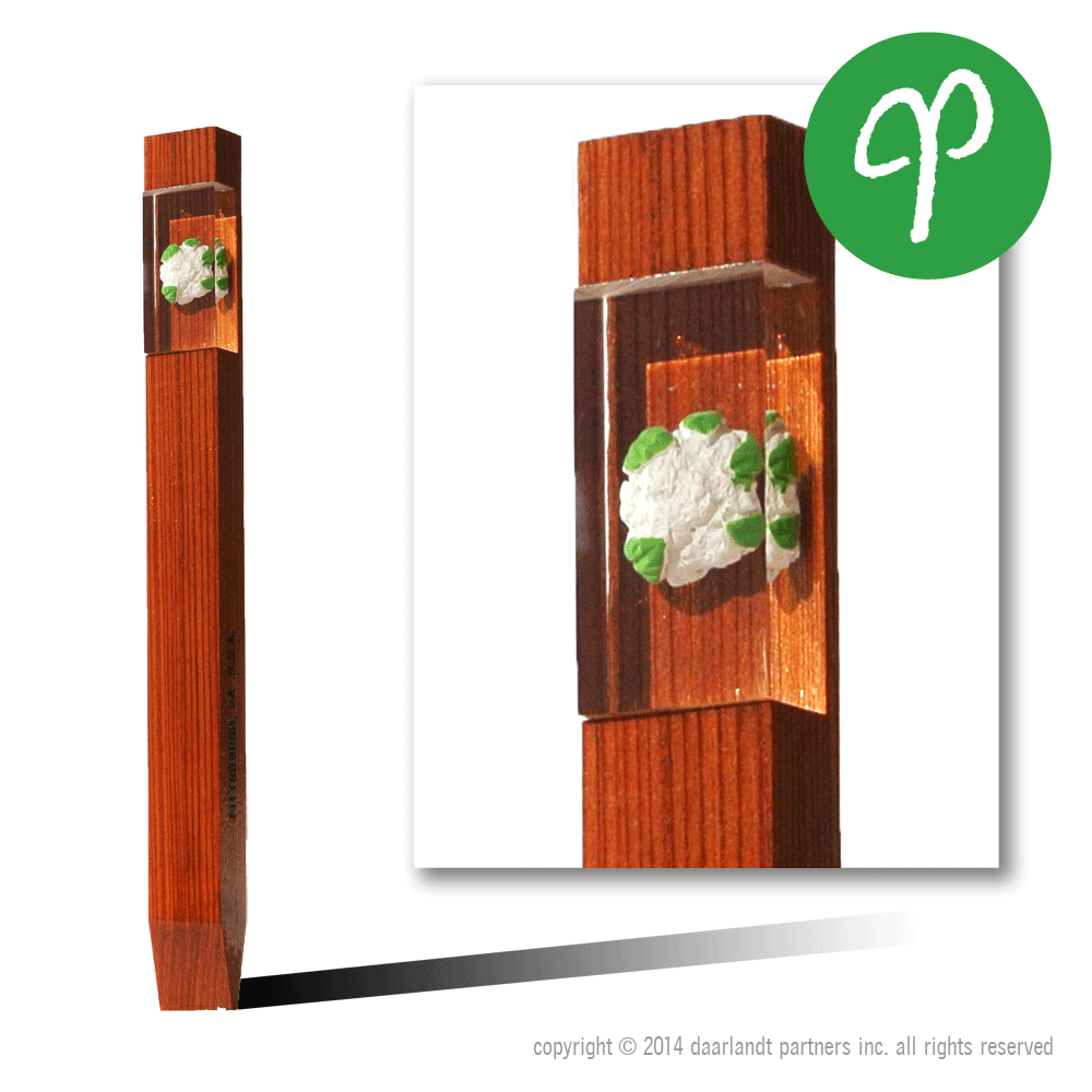 Cauliflower Plant Picket