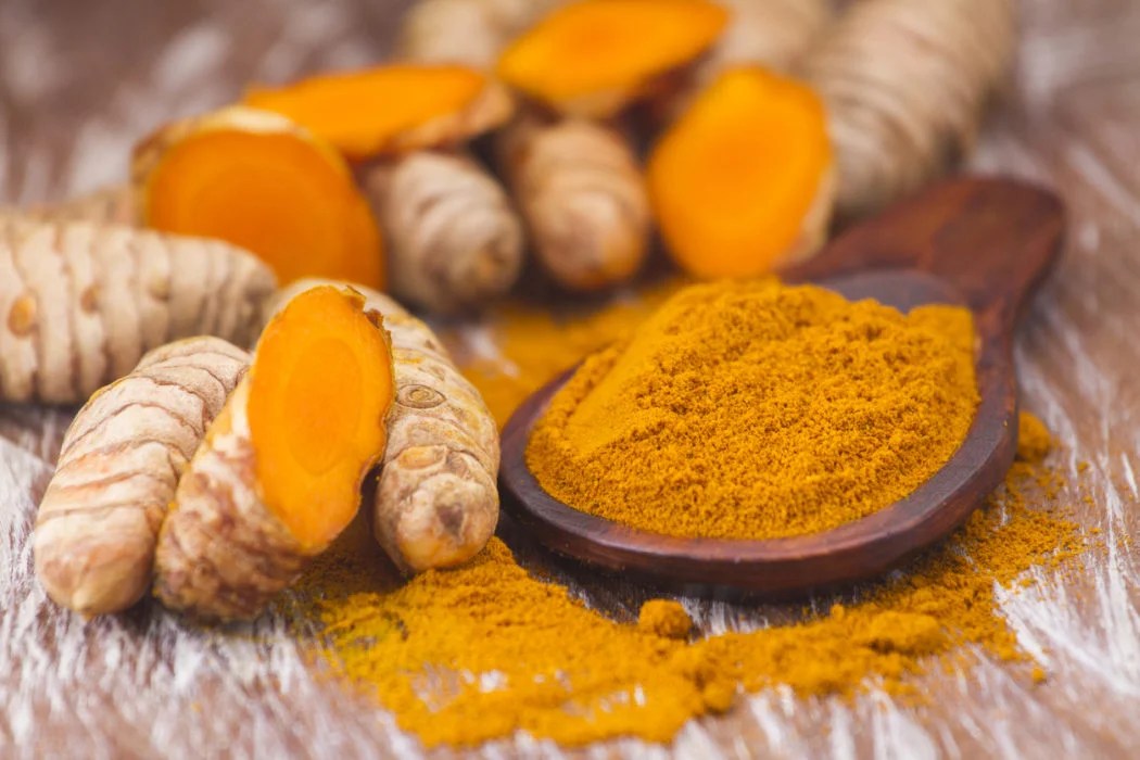 Is Curcumin Good for Dogs? Let's Take a Look! PlantPowered Dog