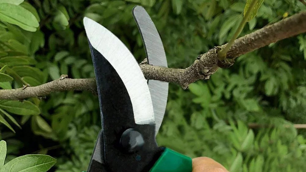 Plant propagation equipment 16 necessary and nice to have gardening