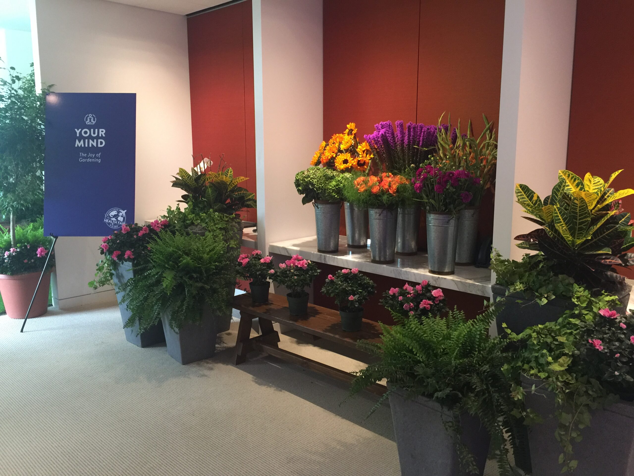 FloweringDisplay Plants Alive!