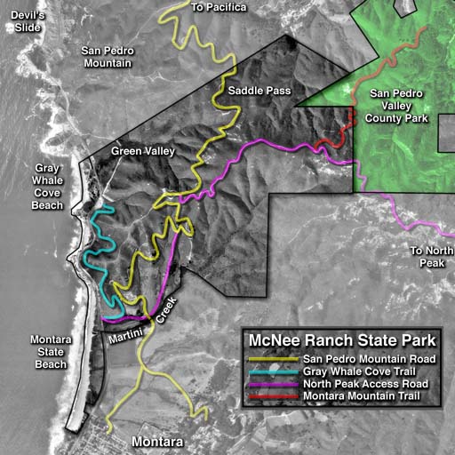 Gray Whale Cove Trail