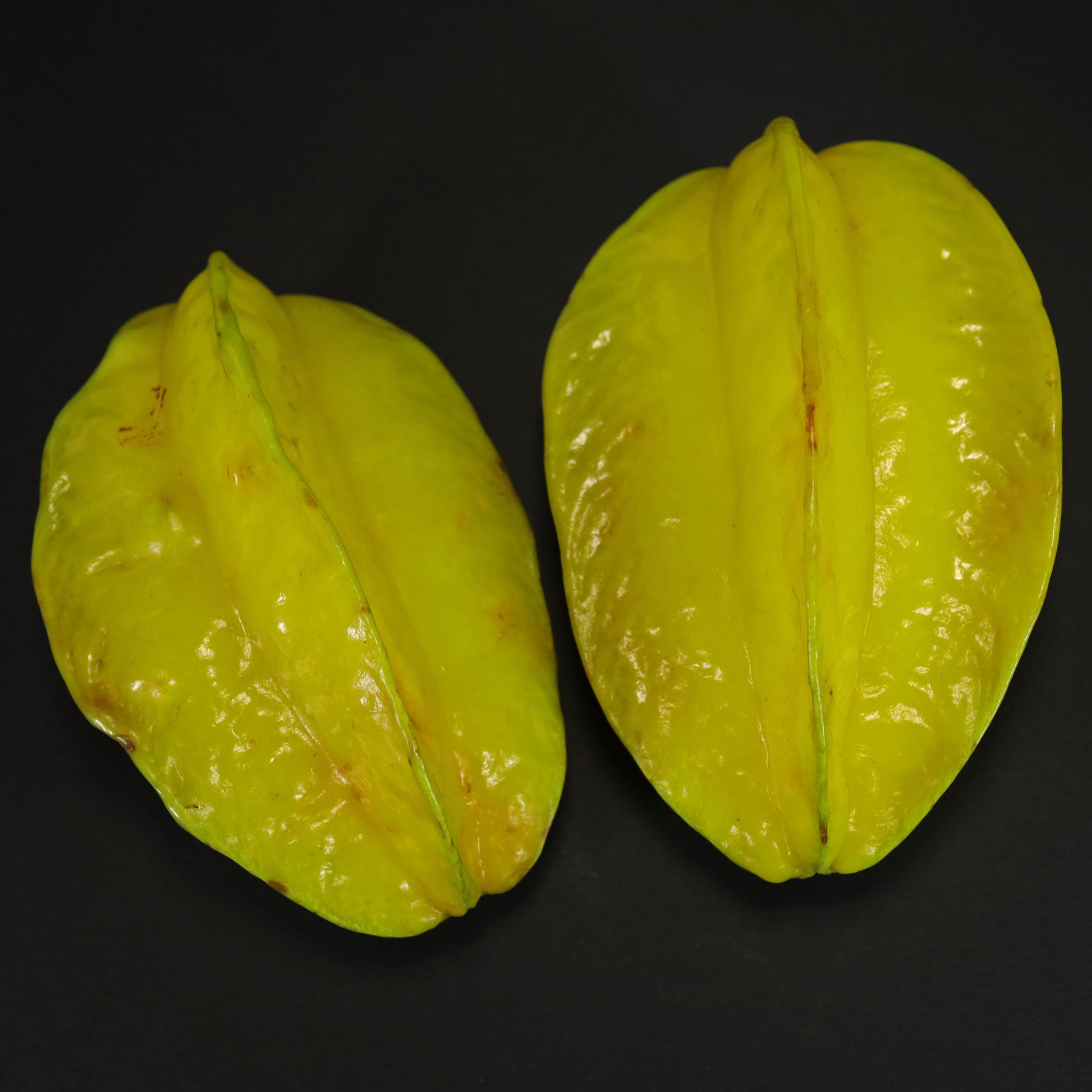 Carambola, Starfruit (Averrhoa carambola)