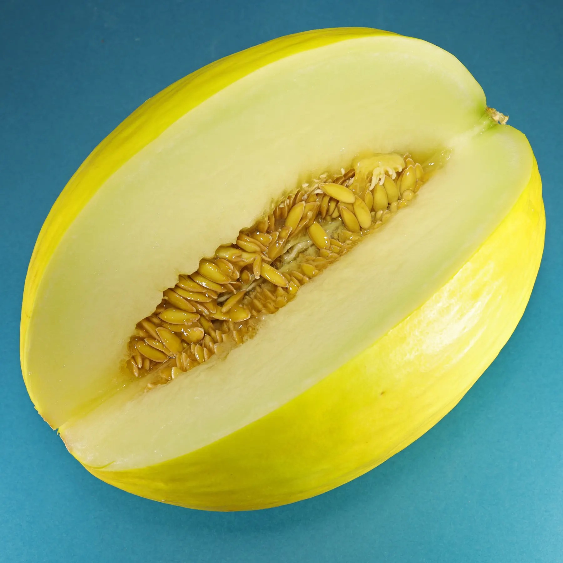 Canary Melon