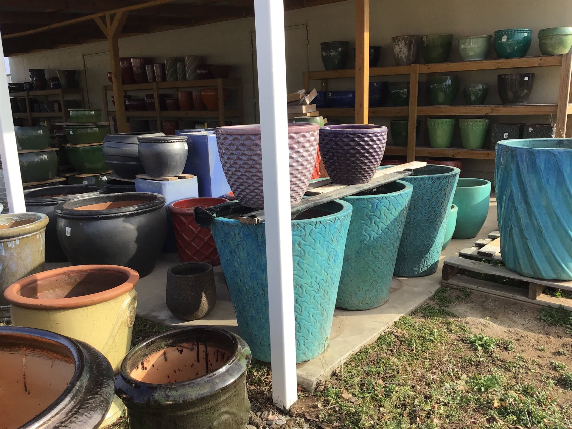 Garden Accents Plants A Plenty