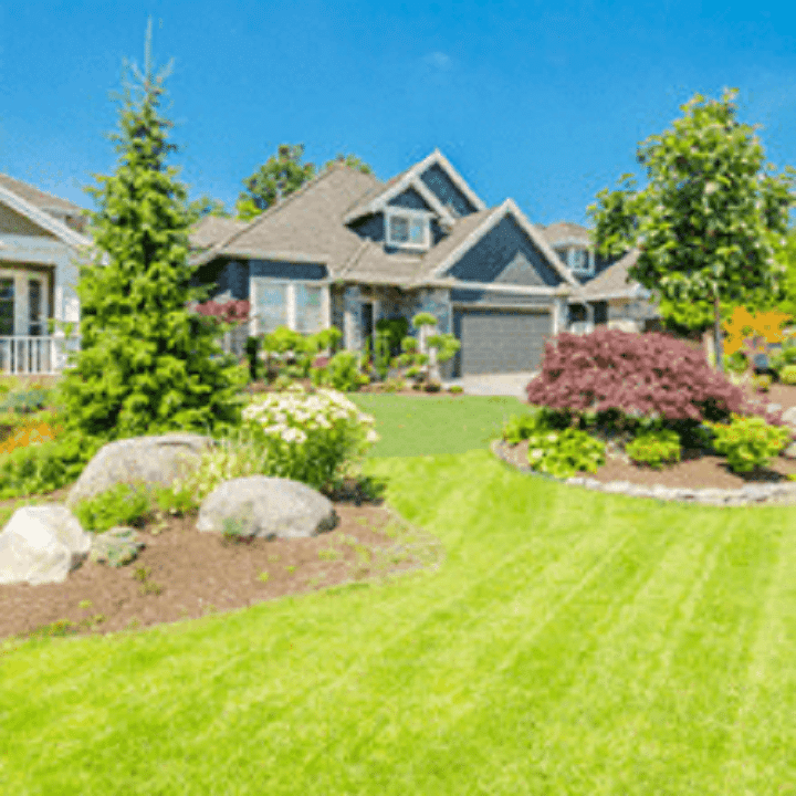 Landscaping and Maintenance Plants A Plenty