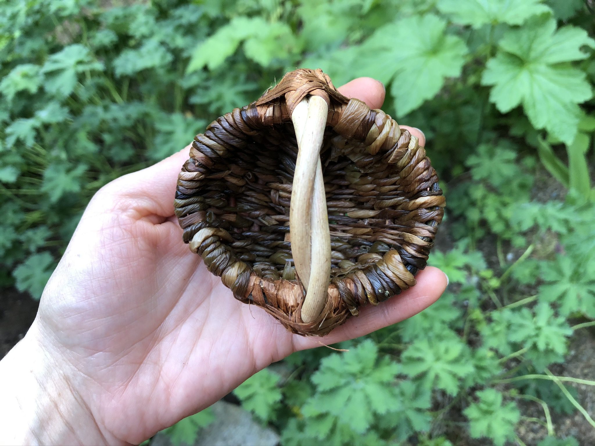 Basketmaking with Dandelion Stems SOLD OUT