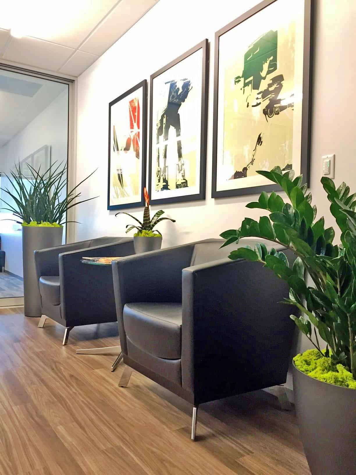 4 Reasons Plants Bring Wellness to Hospitals Plantscapers