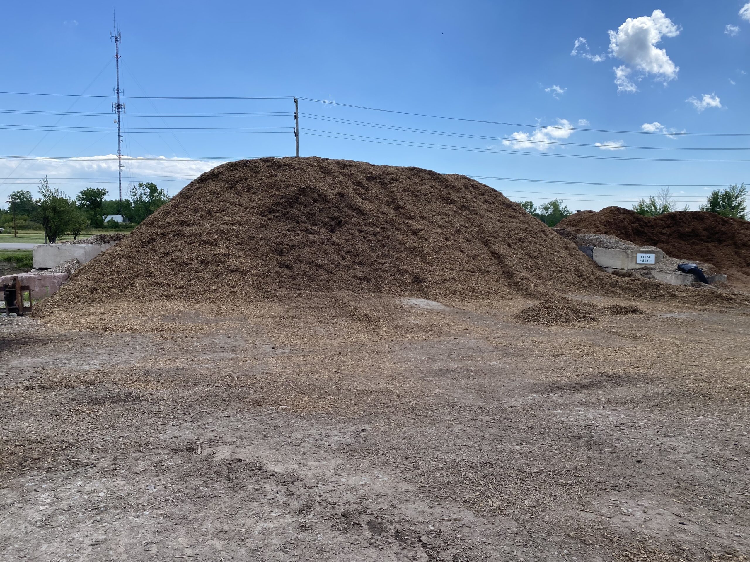 Fine Forest Mulch Plants Choice