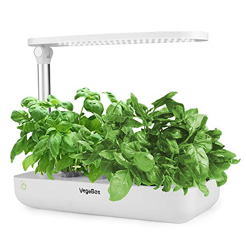 The 5 Best LED Grow Lights for Herbs of 2020