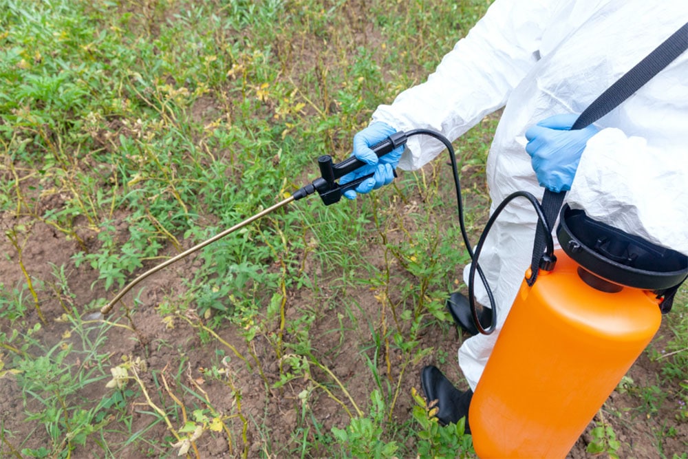 Does Weed Killer Expire (Pesticide and Herbicide Shelf Life