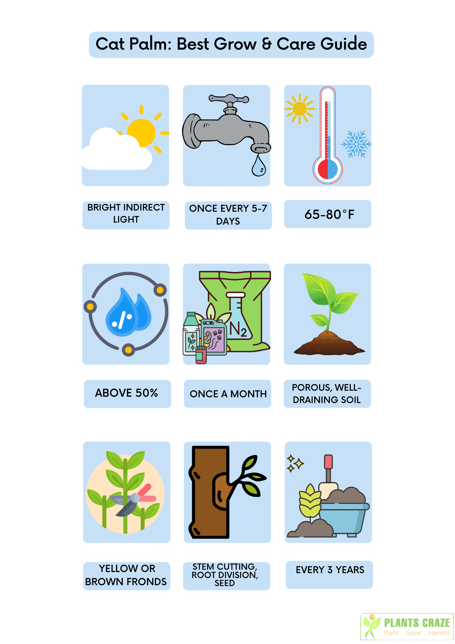 Best Cat Palm Care [Guide for Plantsmen]