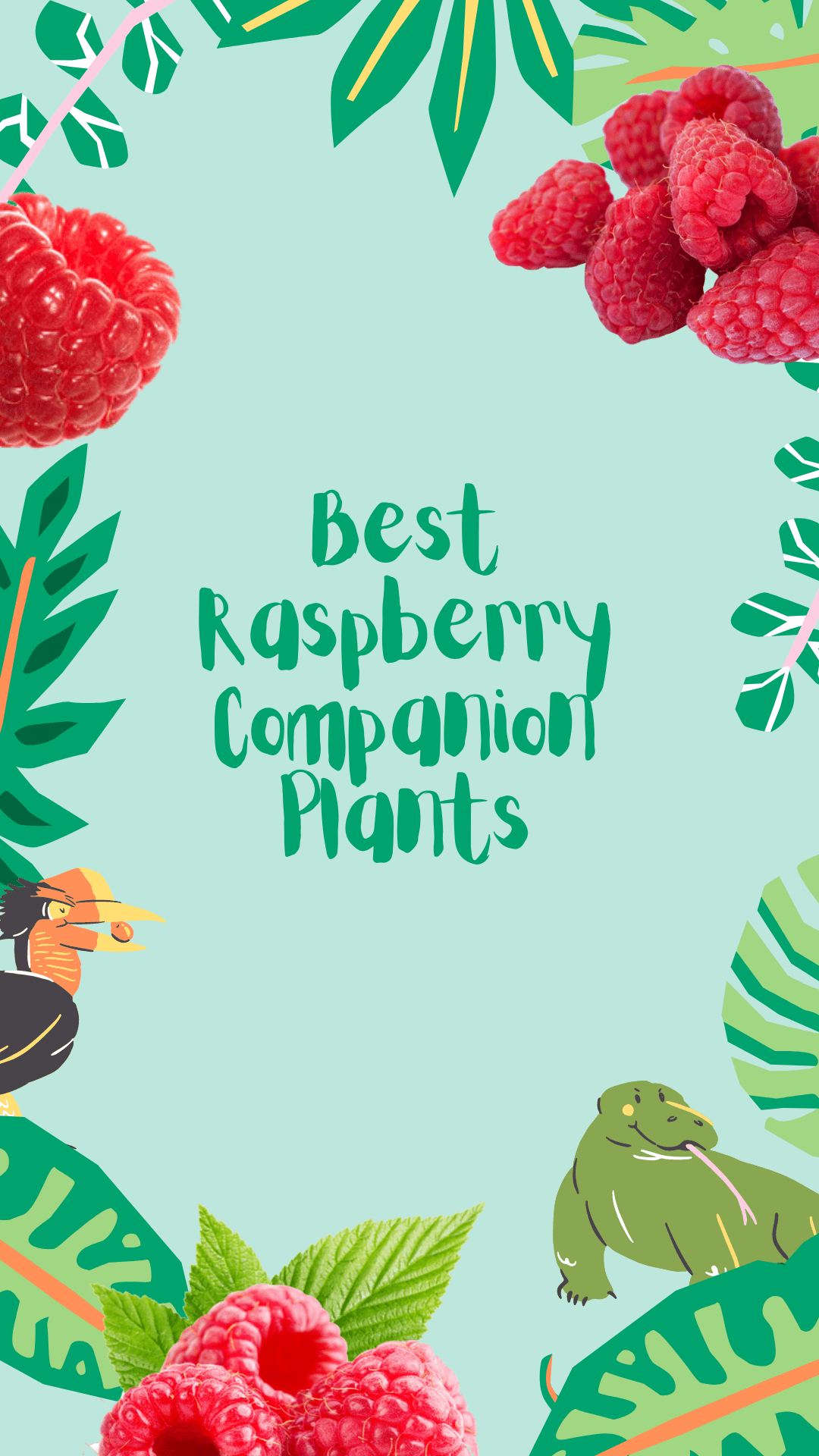 7 Best Raspberry Companion Plants Plants Craze