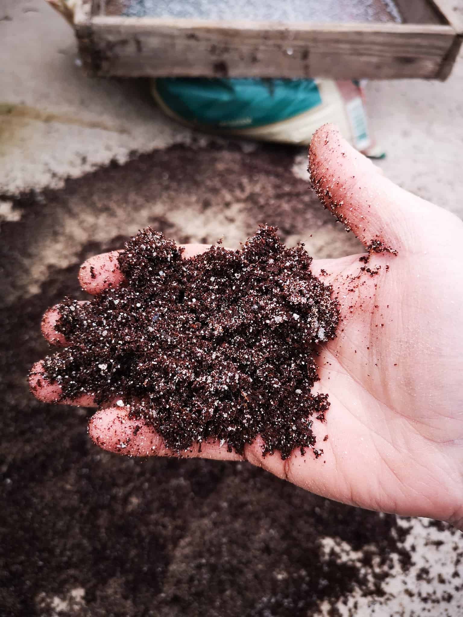 How to Use Sand For Plants? Buying & Using Guide Plants Craze