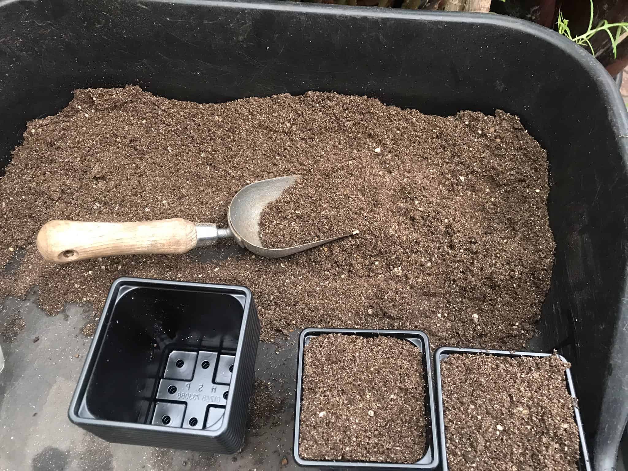 Best WellDraining Potting Soil + DIY Guide]